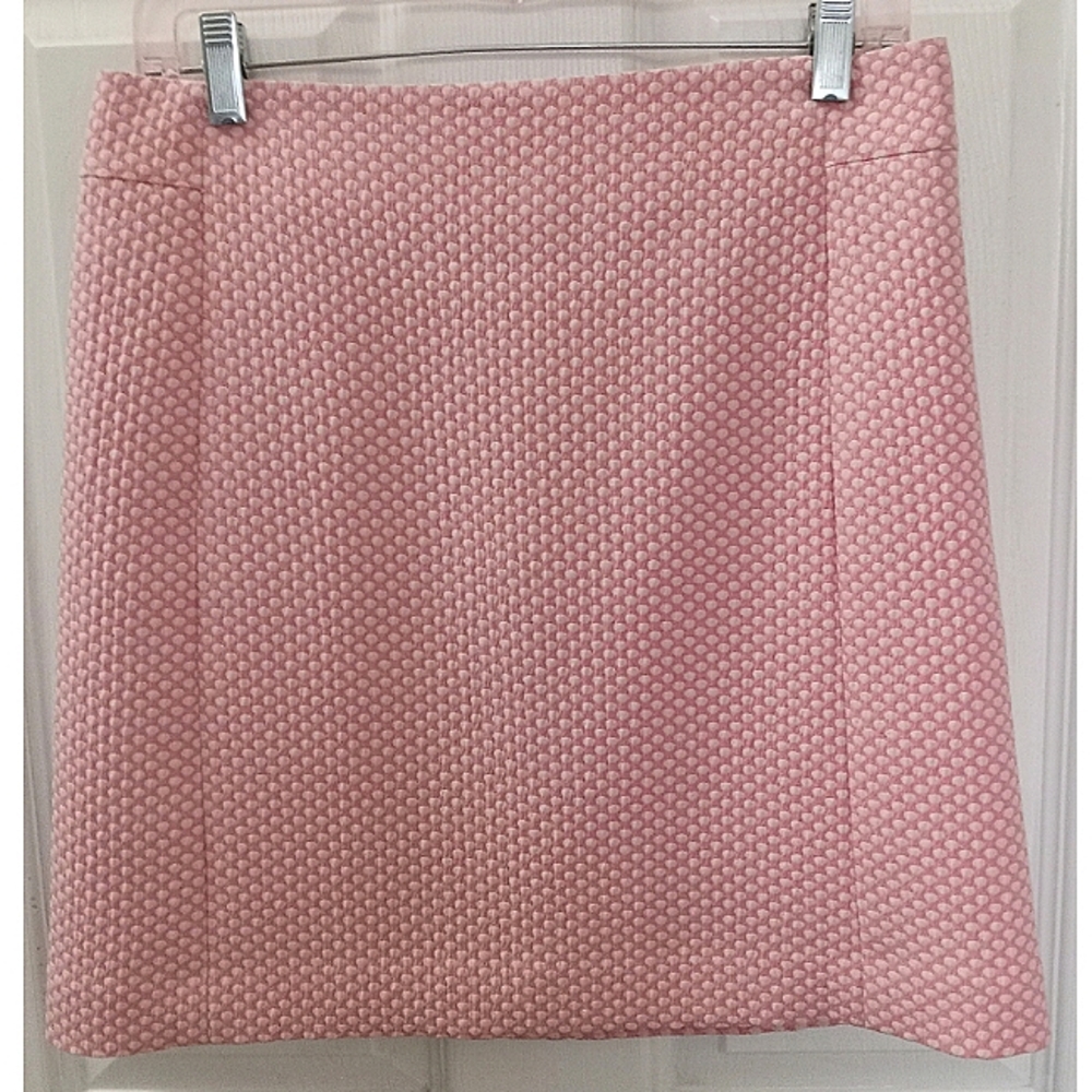 Ann Taylor LOFT Skirt Size 6